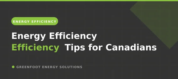 Home energy efficiency and appliance electricity savings
